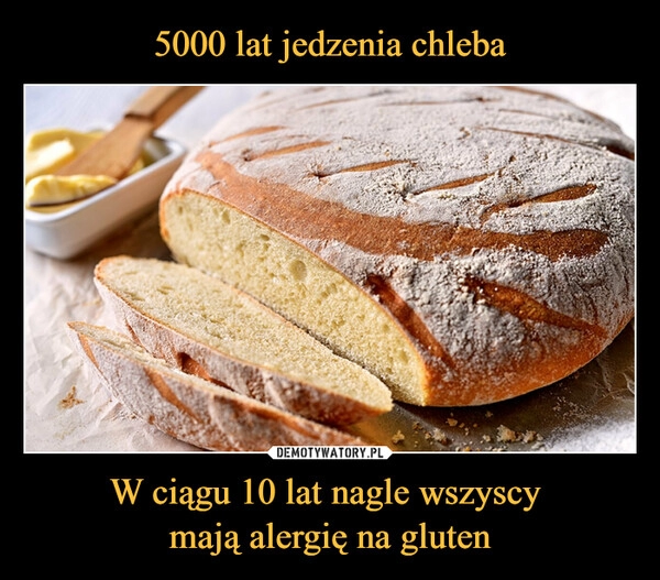 
    5000 lat jedzenia chleba W ciągu 10 lat nagle wszyscy 
mają alergię na gluten