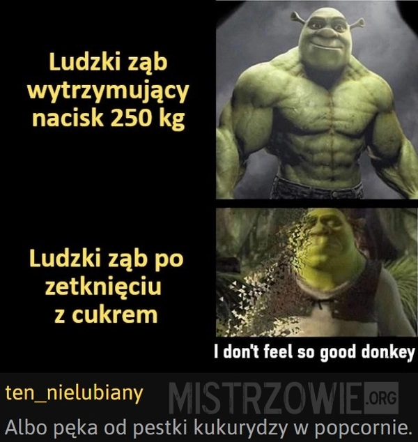 
    Ząb