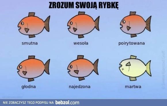 
    Zrozum swoją rybkę