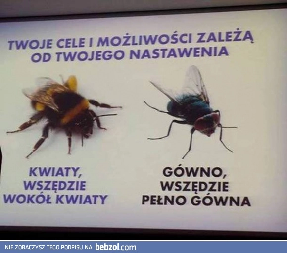 
    A ty jak widzisz świat?