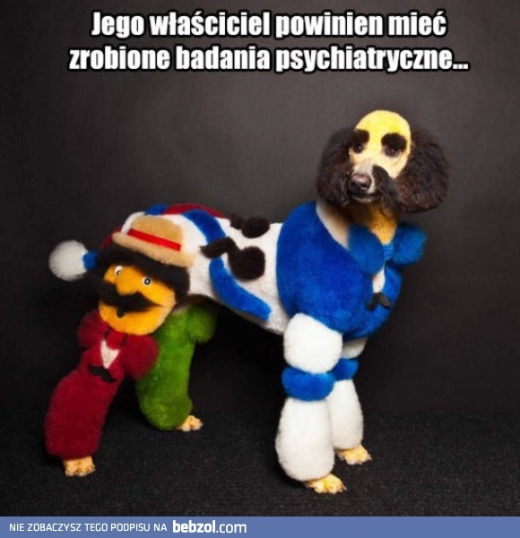 Najbardziej obciachowy pies świata