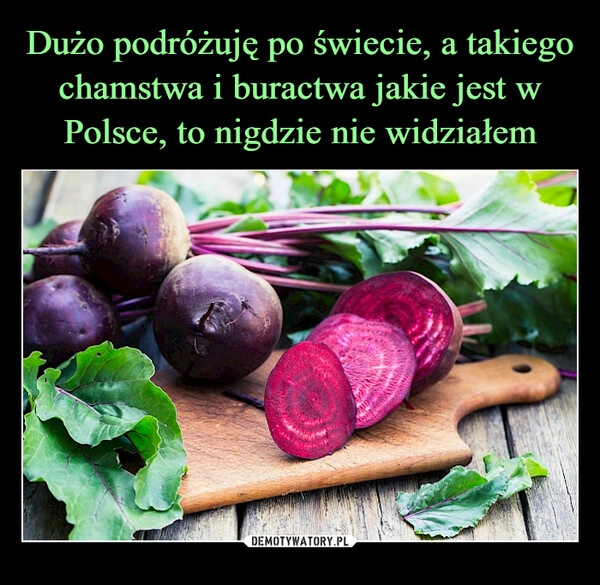 
    Dużo podróżuję po świecie, a takiego chamstwa i buractwa jakie jest w Polsce, to nigdzie nie widziałem