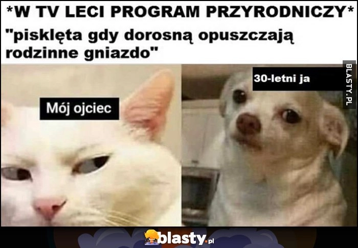 
    W TV leci program przyrodniczy: pisklęta gdy dorosną opuszczają rodzinne gniazdo mój ojciec vs 30 letni ja pies kot