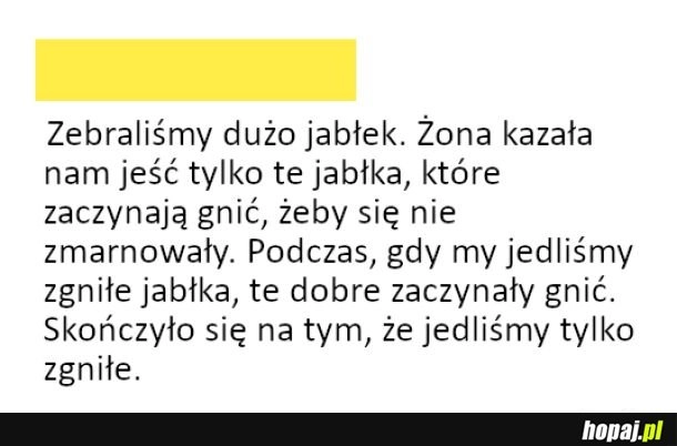 
    Błędne koło