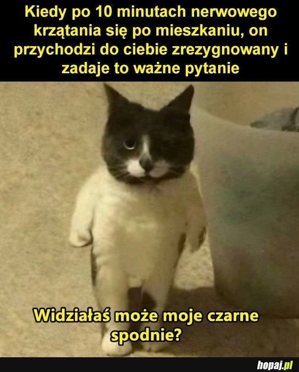 
    Czas zapytać