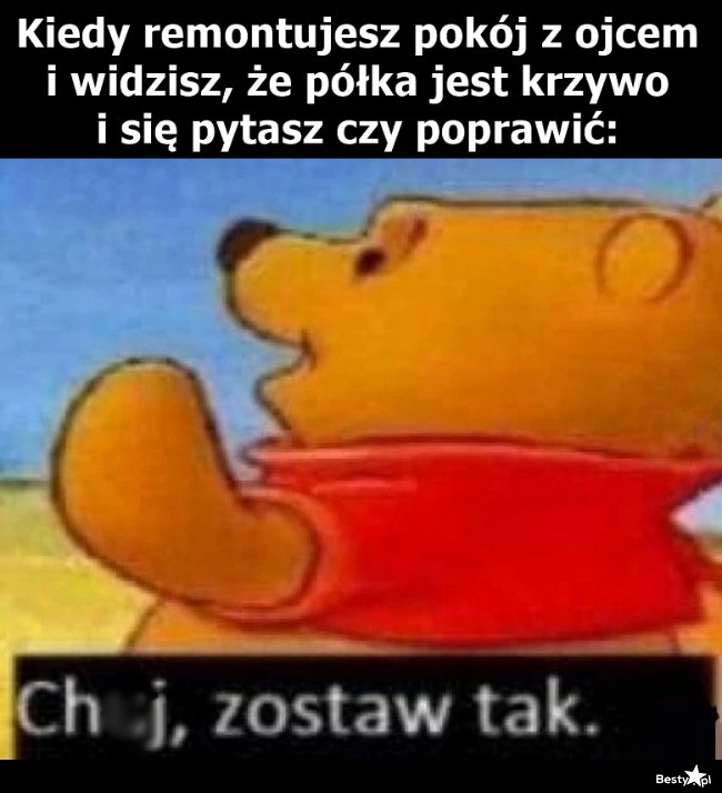 
    Po co się wysilać 