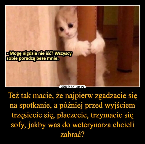 
    Też tak macie, że najpierw zgadzacie się na spotkanie, a później przed wyjściem trzęsiecie się, płaczecie, trzymacie się sofy, jakby was do weterynarza chcieli zabrać?