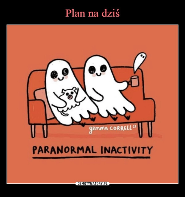 
    Plan na dziś