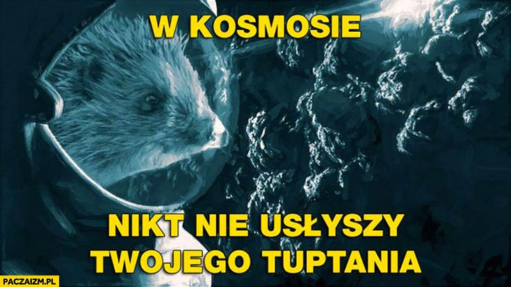 
    W kosmosie nikt nie usłyszy Twojego tuptania jeż jeżyk kosmonauta