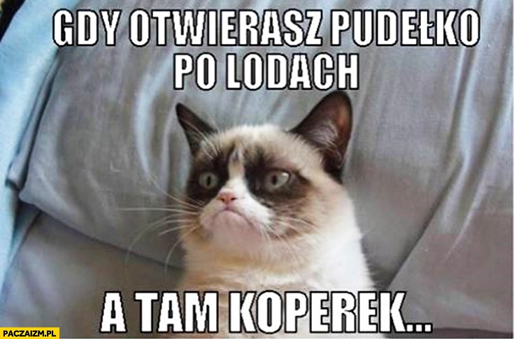 
    Gdy otwierasz pudełko po lodach a tam koperek Grumpy Cat