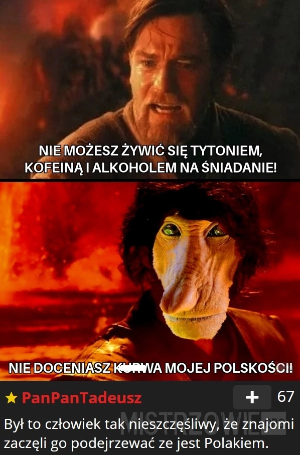 
    Polskość