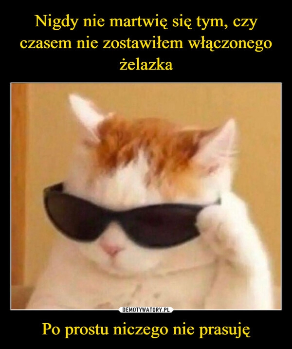 
    Nigdy nie martwię się tym, czy czasem nie zostawiłem włączonego żelazka Po prostu niczego nie prasuję