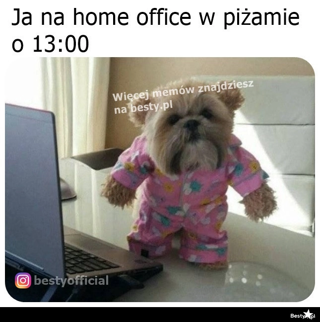 
    Tu obowiązuje domowy dress code 