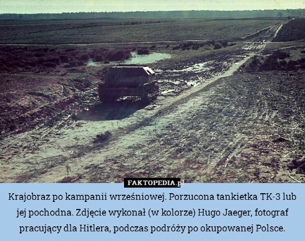 
    Krajobraz po kampanii wrześniowej. Porzucona tankietka TK-3 lub jej pochodna.