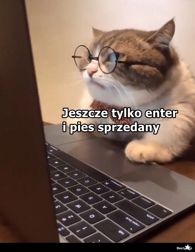 
    Zaraz się go pozbędę 