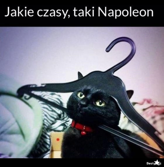 
    Napoleon 