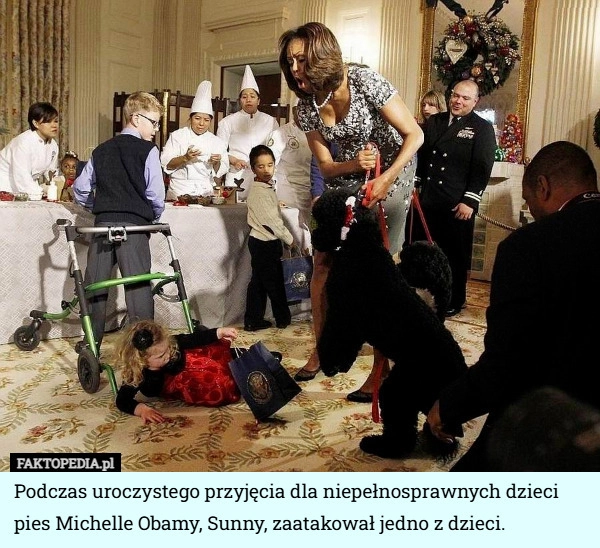 
    Podczas uroczystego przyjęcia dla niepełnosprawnych dzieci pies Michelle...