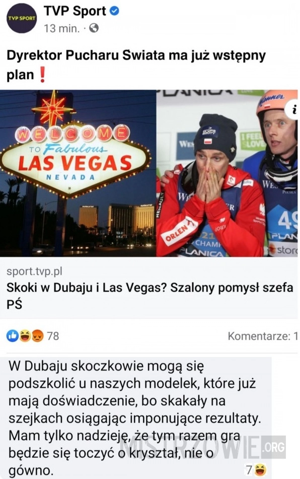 
    Skoki