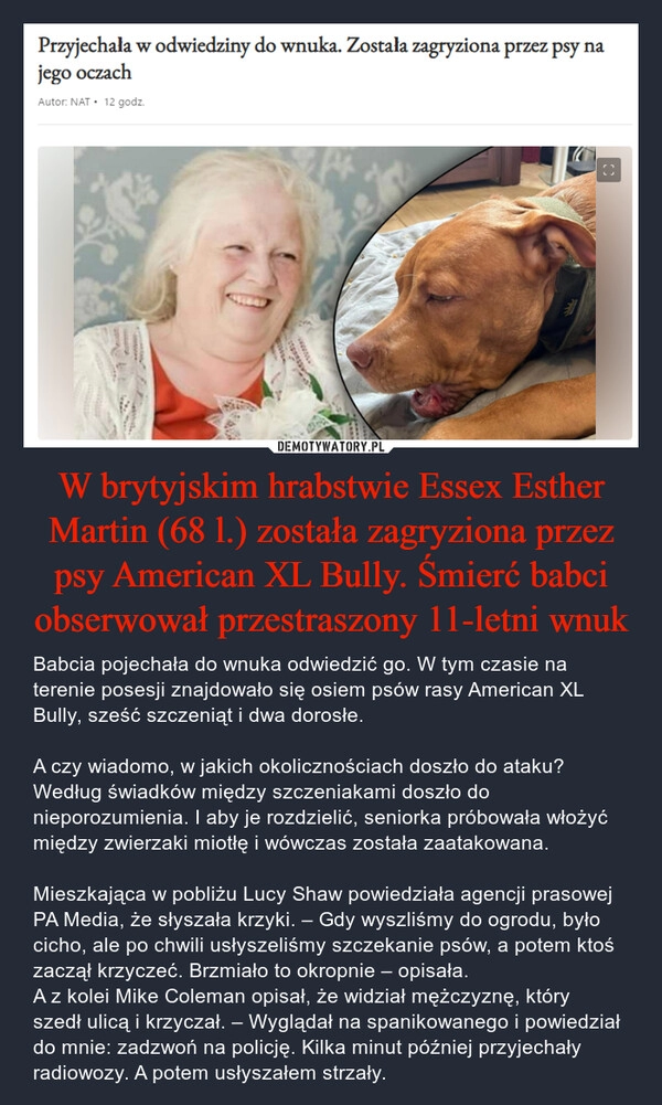 
    W brytyjskim hrabstwie Essex Esther Martin (68 l.) została zagryziona przez psy American XL Bully. Śmierć babci obserwował przestraszony 11-letni wnuk