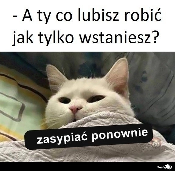 
    Dokładnie. 