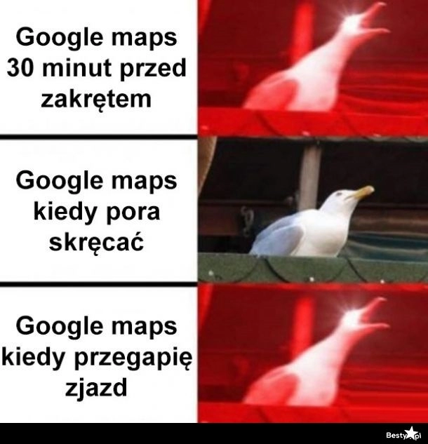 
    Google Maps 