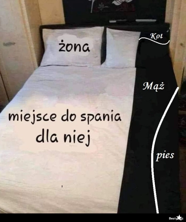 
    Podział miejsca na łóżku 