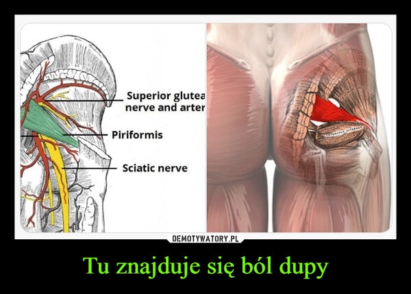 
    Tu znajduje się ból dupy