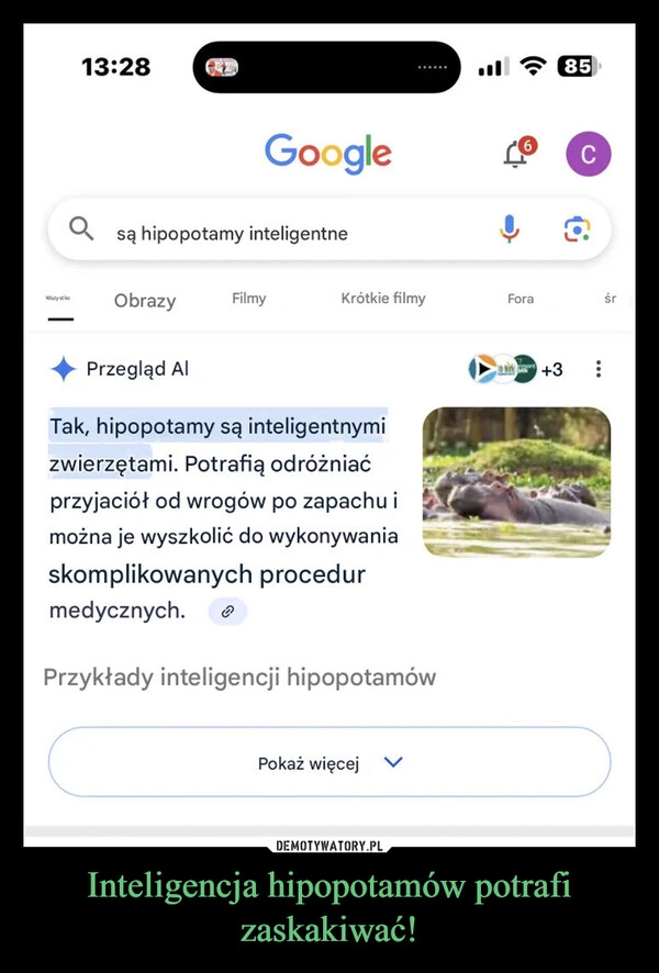 
    Inteligencja hipopotamów potrafi zaskakiwać!