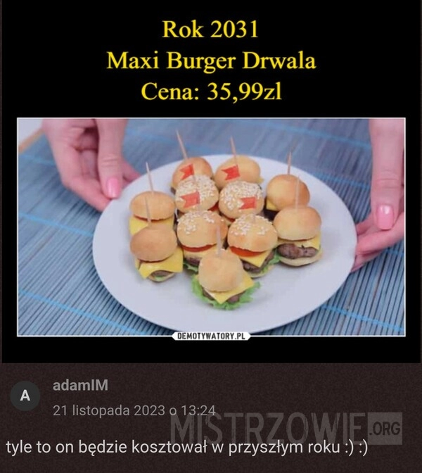 
    Burger drwala