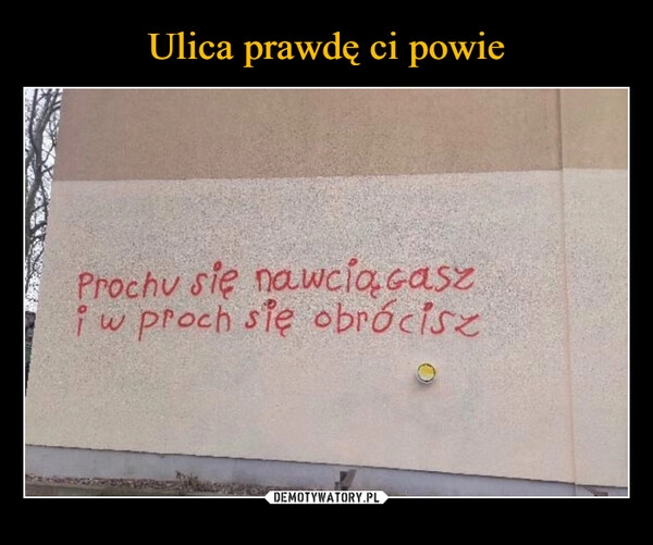 
    Ulica prawdę ci powie