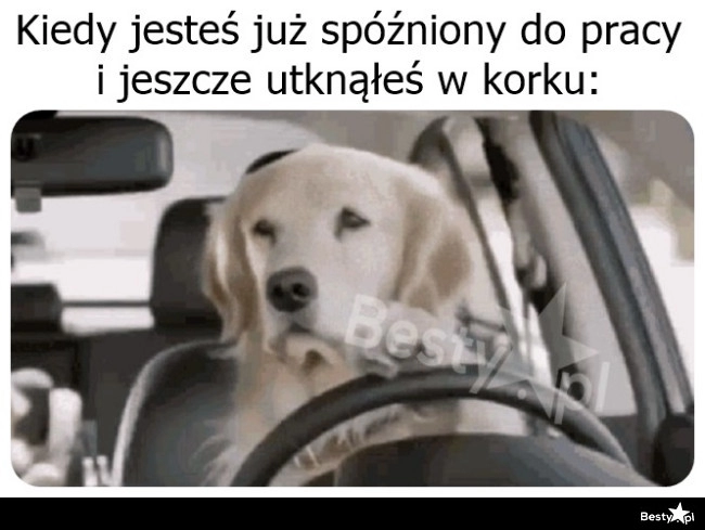 
    No pięknie 