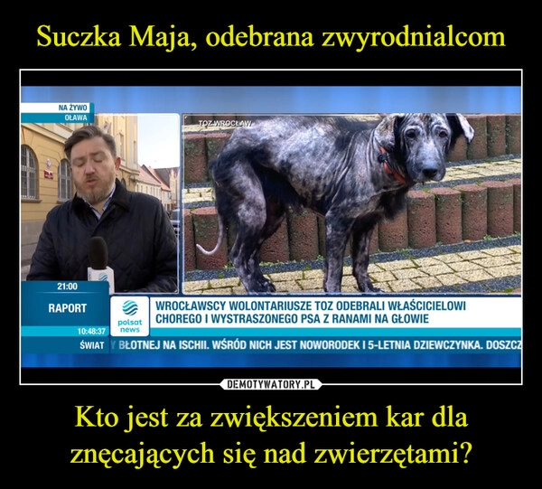 
    
Suczka Maja, odebrana zwyrodnialcom Kto jest za zwiększeniem kar dla znęcających się nad zwierzętami? 