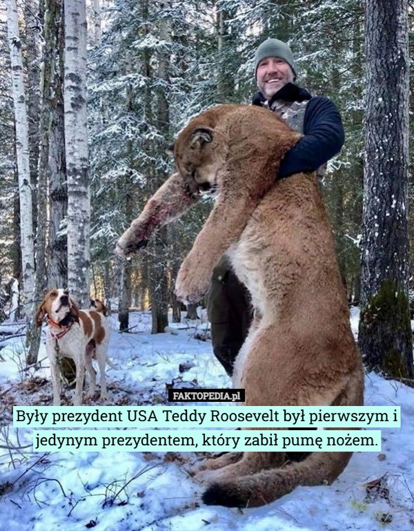 
    Były prezydent USA Teddy Roosevelt był pierwszym i jedynym prezydentem,