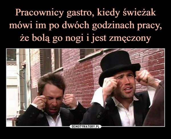 
    Pracownicy gastro, kiedy świeżak mówi im po dwóch godzinach pracy, że bolą go nogi i jest zmęczony