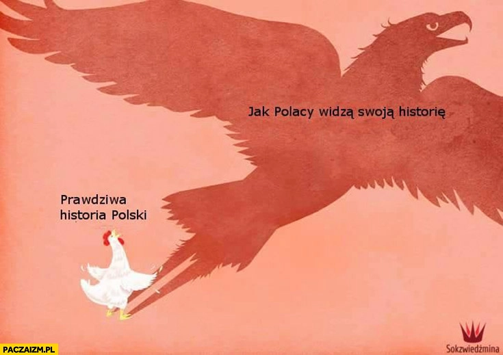 
    Prawdziwa historia Polski kura, jak Polacy widza swoja historie orzeł cień