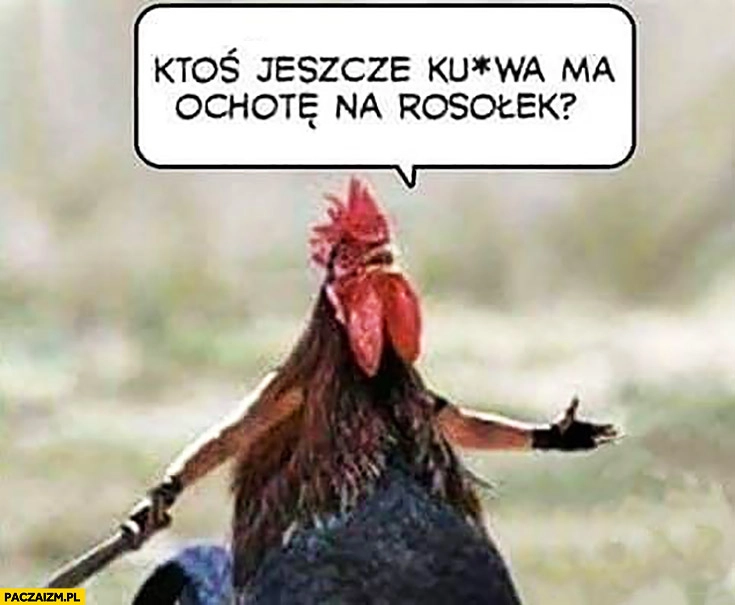 
    Kurczak kogut z nożem kosa ktoś jeszcze kurna ma ochotę na rosołek