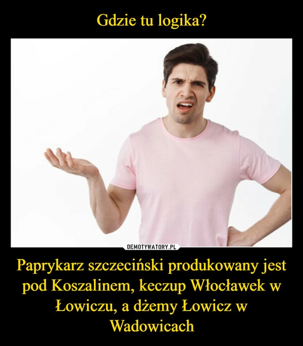 
    Gdzie tu logika? Paprykarz szczeciński produkowany jest pod Koszalinem, keczup Włocławek w Łowiczu, a dżemy Łowicz w Wadowicach