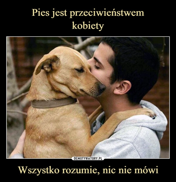 
    Pies jest przeciwieństwem
kobiety Wszystko rozumie, nic nie mówi