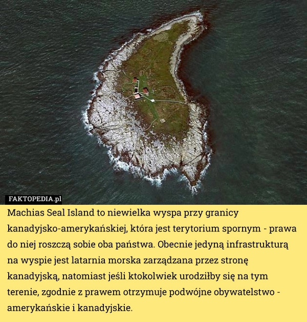 
    Machias Seal Island to niewielka wyspa przy granicy kanadyjsko-amerykańskiej,