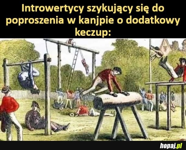 
    Introwertycy