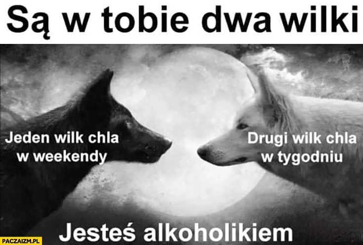 
    Są w Tobie dwa wilki: jeden wilk chla w weekendy, drugi w tygodniu, jesteś alkoholikiem