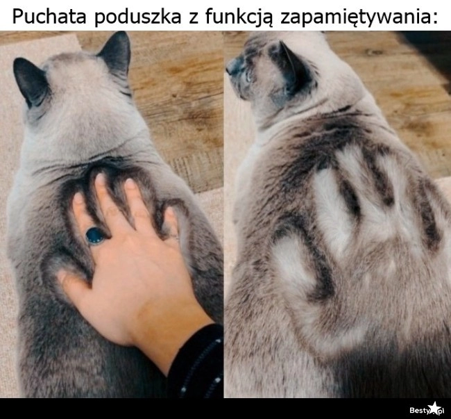 
    Puchata poduszka 