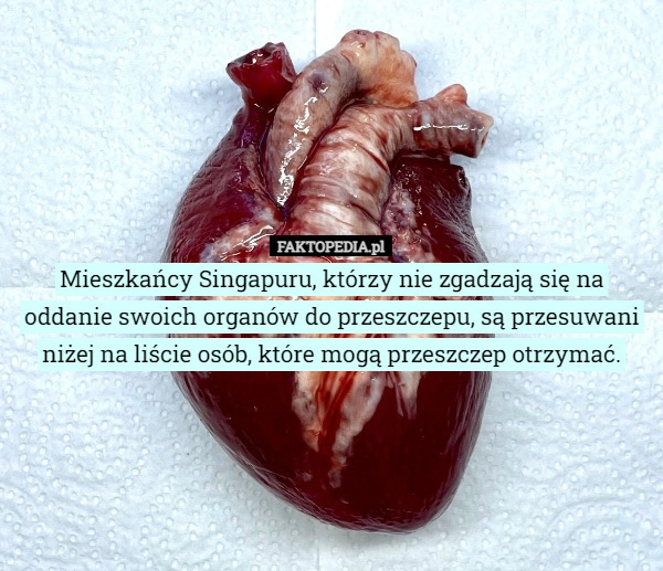 
    
			Mieszkańcy Singapuru, którzy nie zgadzają się na oddanie swoich organów...					