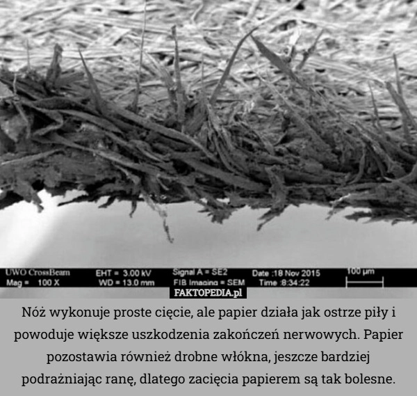 
    Nóż wykonuje proste cięcie, ale papier działa jak ostrze piły i powoduje