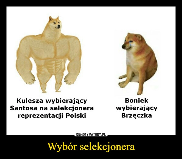 
    Wybór selekcjonera 