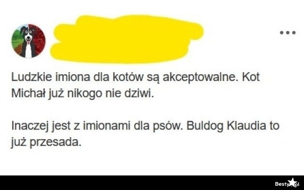 
    Ludzkie imiona dla zwierząt 