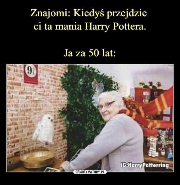 
    Znajomi: Kiedyś przejdzie 
ci ta mania Harry Pottera.

Ja za 50 lat: