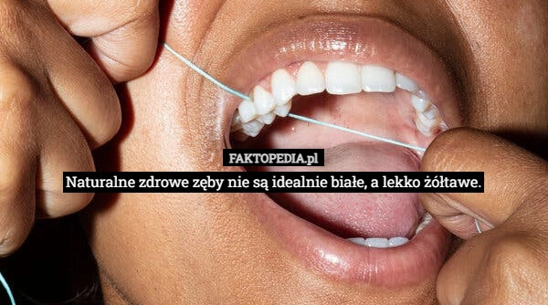
    Naturalne zdrowe zęby nie są idealnie białe, a lekko żółtawe.