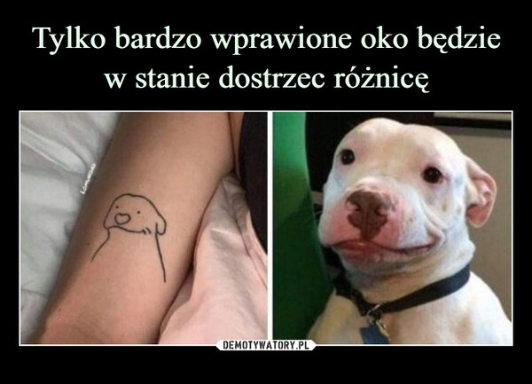 
    Tylko bardzo wprawione oko będzie w stanie dostrzec różnicę