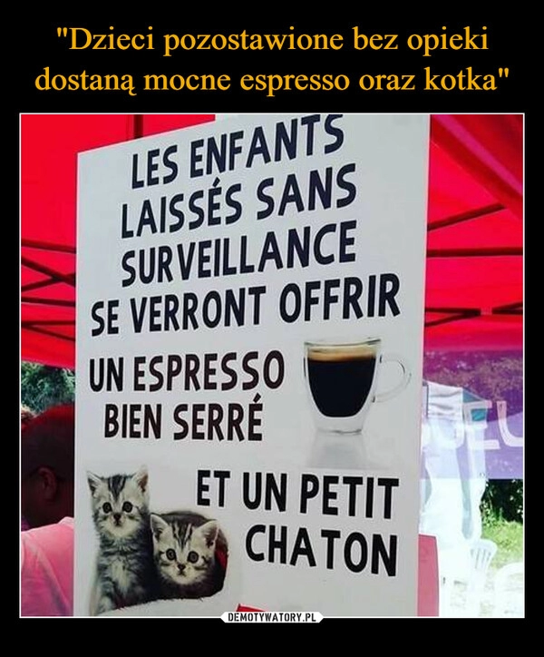 
    "Dzieci pozostawione bez opieki dostaną mocne espresso oraz kotka"